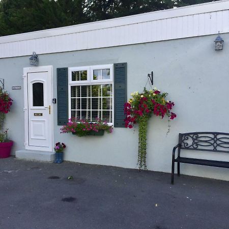 Graisin Leilighet Kilkenny Eksteriør bilde
