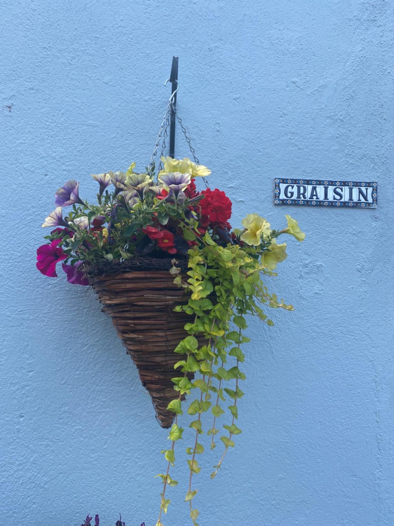 Graisin Leilighet Kilkenny Eksteriør bilde