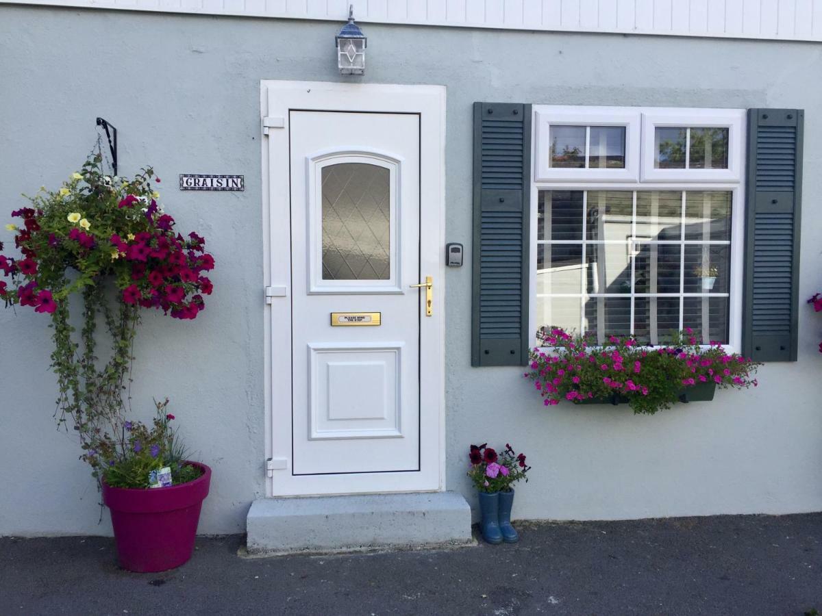 Graisin Leilighet Kilkenny Eksteriør bilde